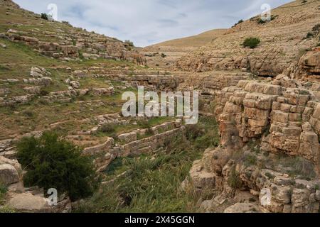 Eine Landschaft aus Klippen und Höhlen am Ufer des Prat-Baches in den Judäa-Wüstenhügeln in Israel. Stockfoto