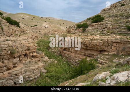 Eine Landschaft aus Klippen und Höhlen am Ufer des Prat-Baches in den Judäa-Wüstenhügeln in Israel. Stockfoto