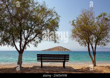 Eine Holzbank und zwei Kiefern am Meer, an einem sonnigen Sommertag, die eine kleine dreieckige Insel im Saronischen Golf in Salamina betrachten Stockfoto