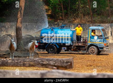 Chiang Mai, Thailand. April 2024. Die Beamten des Zoos sprühen Wasser in die Luft, um sich von der Hitze für Tiere im Zoo von Chiang Mai abzukühlen. Im Zoo von Chiang Mai erhielten die Tiere Eis und Wasser, um kühl zu bleiben, da die Temperatur in der nördlichen Region von Chiang Mai eine Woche lang über 40 Grad Celsius lag. (Foto: Pongmanat Tasiri/SOPA Images/SIPA USA) Credit: SIPA USA/Alamy Live News Stockfoto