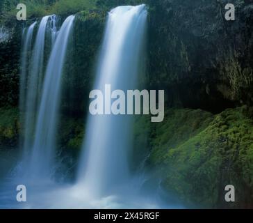 Koosah fällt, Mc Kenzie River National Wild und Scenic River, Willamette National Forest, Oregon Stockfoto