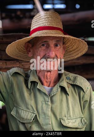 Ein Landarbeiter posiert für Fotos in einer Tabakscheune auf der Tabakfarm von Benito, Vinales National Park, Vinales, Kuba Stockfoto