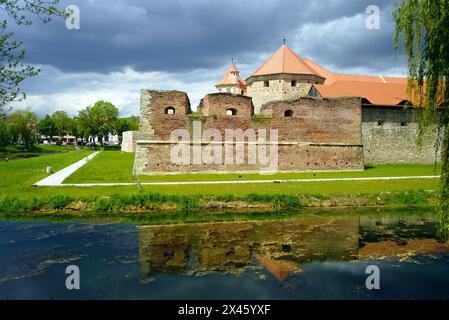 Mauern und Türme der Festung Fagaras im Kreis Brasov in Rumänien - Ansicht der Festung vom Ufer des Grabens Stockfoto