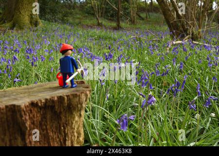 Playmobil-Mann genießt den wilden Knoblauch, der in einem Dorset-Wald wächst Stockfoto