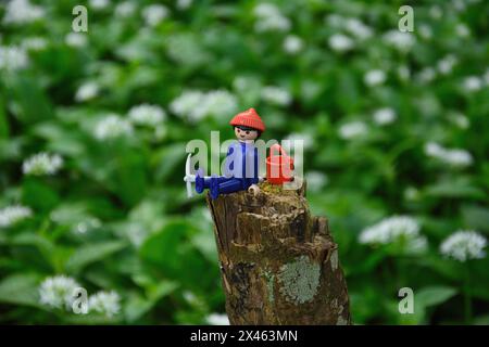 Playmobil-Mann genießt den wilden Knoblauch, der in einem Dorset-Wald wächst Stockfoto