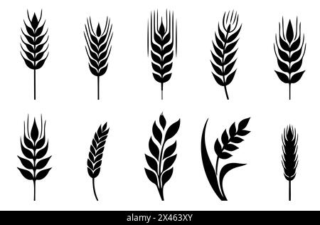 Weizenohren-Symbole und Logo-Set. Für den Identitätsstil von Natural Product Company und Farm Company. Bio-Weizen, Brotanbau und natürliche Ernährung. Conto Stock Vektor