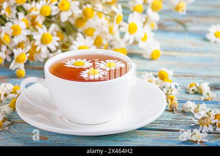 Kräutertee aus Kamillenblüte und ein Strauß von Matricaria chamomilla auf blauem hölzernem Hintergrund. Gesundes Teekonzept. Stockfoto