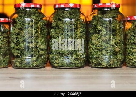 Glasgefäße gefüllt mit grünen Marihuana-Knospen und in Reihe auf Holztisch Stockfoto