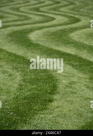 Ordentlich gemähter Rasen mit ungewöhnlichem Wellenstreifen. Fotografiert im Frühling im Wisley Garden, Woking, Surrey, Großbritannien. Stockfoto