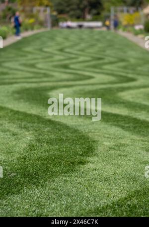 Ordentlich gemähter Rasen mit ungewöhnlichem Wellenstreifen. Fotografiert im Frühling im Wisley Garden, Woking, Surrey, Großbritannien. Stockfoto