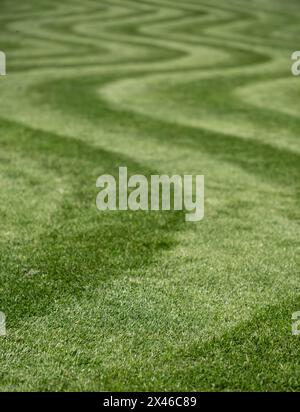 Ordentlich gemähter Rasen mit ungewöhnlichem Wellenstreifen. Fotografiert im Frühling im Wisley Garden, Woking, Surrey, Großbritannien. Stockfoto