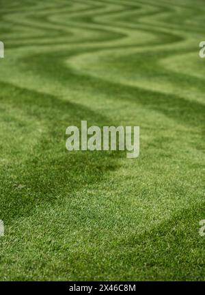 Ordentlich gemähter Rasen mit ungewöhnlichem Wellenstreifen. Fotografiert im Frühling im Wisley Garden, Woking, Surrey, Großbritannien. Stockfoto