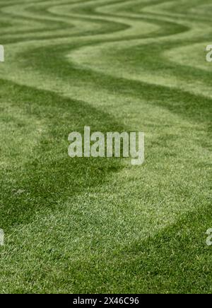 Ordentlich gemähter Rasen mit ungewöhnlichem Wellenstreifen. Fotografiert im Frühling im Wisley Garden, Woking, Surrey, Großbritannien. Stockfoto