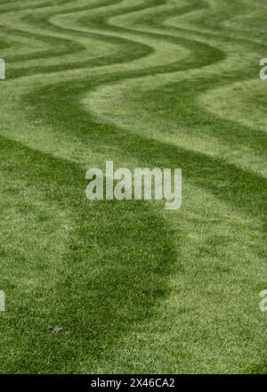 Ordentlich gemähter Rasen mit ungewöhnlichem Wellenstreifen. Fotografiert im Frühling im Wisley Garden, Woking, Surrey, Großbritannien. Stockfoto