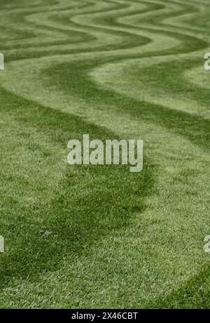 Ordentlich gemähter Rasen mit ungewöhnlichem Wellenstreifen. Fotografiert im Frühling im Wisley Garden, Woking, Surrey, Großbritannien. Stockfoto