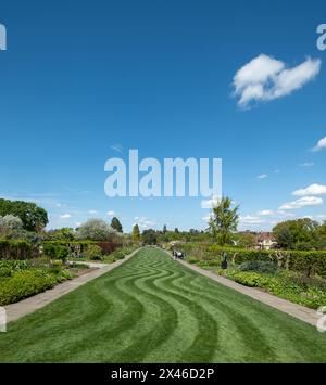 Ordentlich gemähter Rasen mit ungewöhnlichem Wellenstreifen. Fotografiert im Frühling im Wisley Garden, Woking, Surrey, Großbritannien. Stockfoto