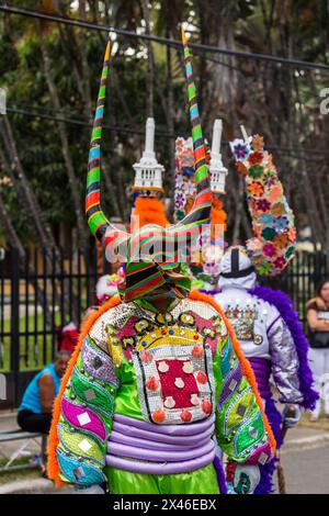 Ein Lechone-Kostüm aus Santiago mit Entenschnabelmaske und Hörnern bei der La Vega Karnevalsparade in der Dominikanischen Republik. Das erste dokumentierte Carni Stockfoto