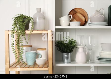 Verschiedene saubere Geschirr und Zimmerpflanzen auf den Regalen im Schrank drinnen Stockfoto