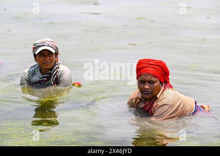Zwei Frauen aus Bangladesch reinigen Algen in einer Garnelenfarm in einem Küstengebiet während der andauernden Hitzewelle im ganzen Land. Frauen in der Küstenregion verdienen 2,7 Dollar, wenn sie 5 Stunden in Khulna arbeiten. Sie arbeiten lange in salzhaltigem Wasser, deshalb leiden sie auch unter Hautproblemen. Frauen sind in der Regel mit höheren Risiken und größeren Belastungen konfrontiert, die mit Klimaveränderungen verbunden sind. Tausende von Frauen in Bangladesch sind mit verheerenden Problemen der reproduktiven Gesundheit konfrontiert, die durch den zunehmenden Salzgehalt in den Gewässern, in denen sie zu Hause verwenden und in denen sie arbeiten, bedroht sind Stockfoto