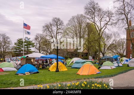 Medford, MA, USA-30. April 2024: Pro-palästinensische Demonstranten an der Tufts University errichteten ein Zeltlager, um gegen den Krieg in Gaza zu protestieren. Stockfoto