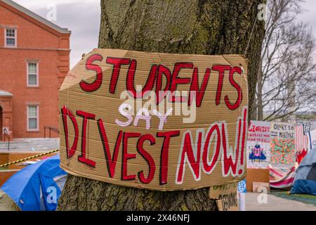 Medford, MA, USA-30. April 2024: Studenten, die Schilder lesen, sagen, dass sie jetzt auf Baum bei Pro-palästinensischen Protesten im Zeltlager der Tufts University an Pro verkaufen Stockfoto