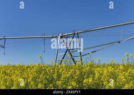 Landwirte können die Geschwindigkeit des linearen Systems auf der Grundlage von Faktoren wie Bodenart und Erntebedarf anpassen Stockfoto