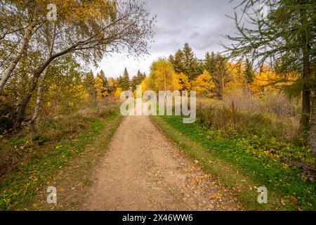 Ein wunderschöner Herbst in den polnischen Bergen der Insel Beskiden in Kleinpolen Stockfoto