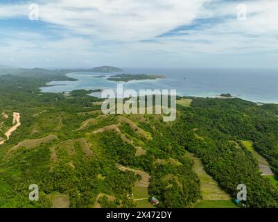 Insel mit grünen Bäumen und türkisfarbenem Wasser und Küstenbereich. Santa Fe, Tablas, Romblon. Philippinen. Stockfoto