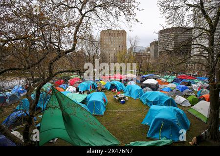 Die Demonstranten richteten am Samstagnachmittag etwa 100 Zelte auf, mit der Absicht, auf unbestimmte Zeit auf dem unteren Feld der McGill University zu bleiben. Stockfoto
