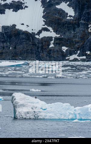 Telefoto eines Gletschers und schmelzenden Meereises nahe dem Eingang des Lemaire-Kanals entlang der Antarktischen Halbinsel. Ein Gentoo-Pinguin, Pygoscelis papua, steht auf einem Eisberg im Vordergrund. Stockfoto