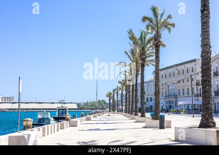 Lungomare in Brindisi, eine Fußgängerzone neben dem Strand und der umliegenden Altstadt. An einem warmen Frühlingstag sind Palmenreihen zu sehen Stockfoto