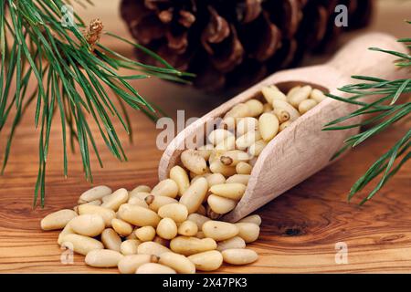 Portion Pinienkerne auf einer Schaufel auf einem Olivenholzhintergrund neben einem Pinienzweig und einem Pinienzapfen Stockfoto