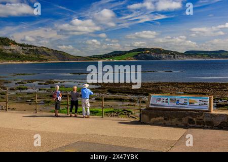 Drei Besucher, die aus Lyme Regis, Dorset, England, Großbritannien, den massiven Sturz der instabilen Klippen von Charmouth an der Jurassic Coast betrachten Stockfoto