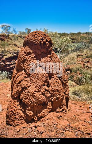 Großer Termitenhügel aus roter Erde im Outback Westaustraliens. Karijini Nationalpark, Pilbara Stockfoto