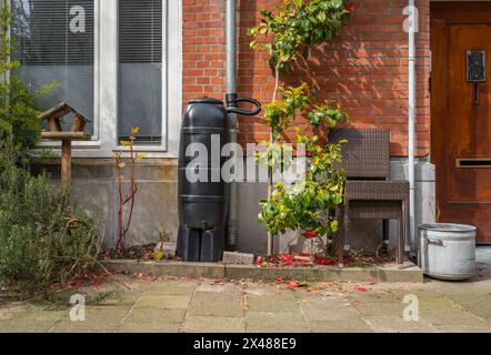 Regenfass an der Hausfassade, das Regenwasser sammelt, um es im Garten wiederzuverwenden Stockfoto
