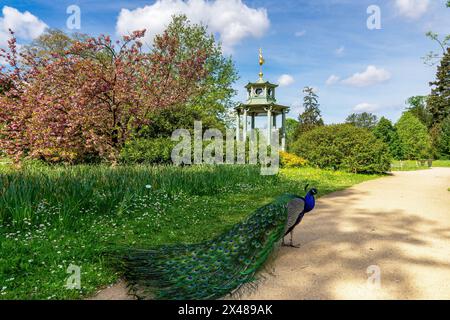 Chinesischer Kiosk im Bagatelle-Park - Paris, Frankreich Stockfoto