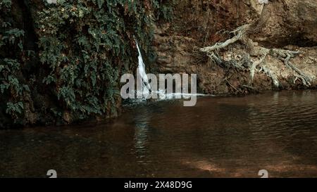 Ein kleiner Wasserfall fließt in den Wald, eingebettet zwischen Bäumen und Pflanzen, in der Nähe eines Flusses. Diese natürliche Landschaft wird durch die Uferzone und verstärkt Stockfoto