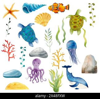 Ozean Set, Meeresleben, Kreaturen, Illustration, Wal, Fisch, Stein, Quallen, Tintenfisch, Algen, Cartoon, naiv Stockfoto