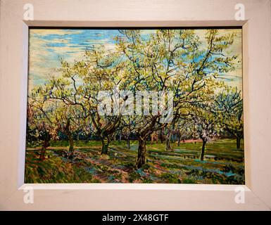 Der Weiße Orchard im Van Gogh Museum in Amsterdam wurde 1888 in Arles, Frankreich, gemalt. Stockfoto