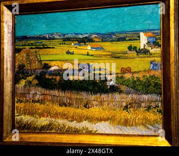 Die Ernte im La Crau Van Gogh Museum in Amsterdam, Niederlande. Stockfoto