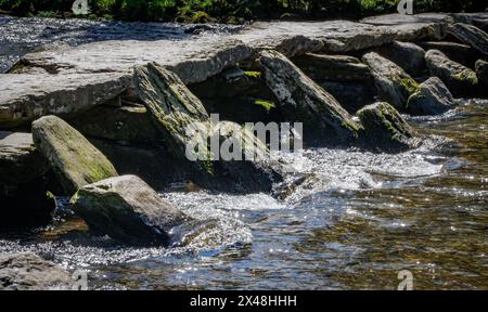 Tarr betritt eine Brücke über den River Barle auf Exmoor in Somerset, Großbritannien, mit schiefen Steinen, die Stützen vor voller Strömung schützen Stockfoto