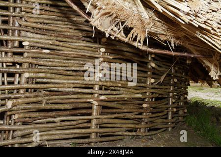 Wattle Wall of Interwoven Sticks Before Daub is be Applied of A Reconstruction of an Iron Age Roundhouse Replica, Hengistbury Head, UK Stockfoto