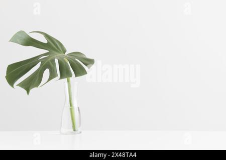 Monstera-Blatt in einer Glasvase auf einem weißen Tisch mit leerem Kopierraum. Stockfoto