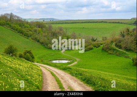Eine Schotterstraße führt einen Hügel hinunter und vorbei an einem Tauteich im grünen Tal im South Downs National Park bei Amberley in West Sussex, England. Stockfoto