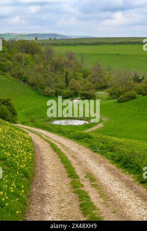 Eine Schotterstraße führt einen Hügel hinunter und vorbei an einem Tauteich im grünen Tal im South Downs National Park bei Amberley in West Sussex, England. Stockfoto