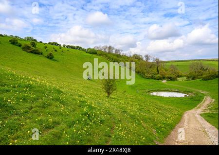 Eine Schotterstraße führt einen Hügel hinunter und vorbei an einem Tauteich im grünen Tal im South Downs National Park bei Amberley in West Sussex, England. Stockfoto