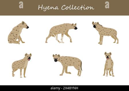 Hyena Kollektion. Hyäne in verschiedenen Posen. Vektorabbildung. Stock Vektor