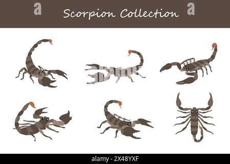 Scorpion-Kollektion. Skorpion in verschiedenen Posen. Vektorabbildung. Stock Vektor