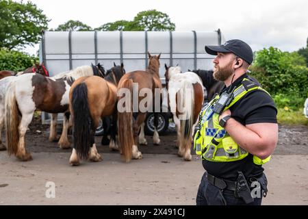 Appleby-in-Westmorland, Eden, Cumbria, England, Großbritannien. Juni 2022. In der Region von 10.000 Zigeunern und Reisenden treffen sich zum jährlichen Appleby Horse F Stockfoto