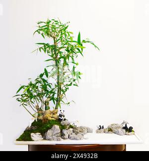 (240501) -- CHENGDU, 1. Mai 2024 (Xinhua) -- dieses undatierte Aktenfoto zeigt ein Bonsaiwerk von Tschad Sinclair. Chad Sinclair, 46 Jahre alt, lebt seit über 20 Jahren in China und liebt Sichuan Bonsai, eine der vier großen traditionellen Bonsaischulen in China. Um tiefer in die Kunst des Bonsai einzutauchen, mieteten Sinclair und seine Frau einen kleinen traditionellen Innenhof in Chongzhou, einer der Geburtsstätten des traditionellen Sichuan Bonsai, und nannten ihn „Weißer Bär Bonsai Garten“. Heute ist Sinclair ein bekannter Bonsaikünstler in Chengdu. Das laufende Internationale Horticult Stockfoto